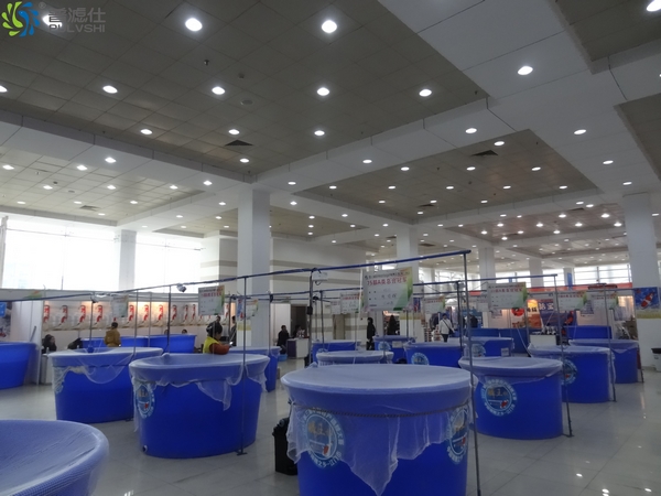 江门锦鲤大赛鳞王杯